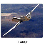 LARGE